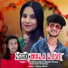 About Ishq Wala Love Song